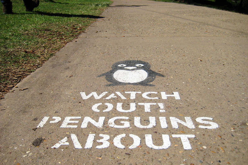 Penguin warning