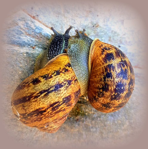 This is love | by Ioannis Ks