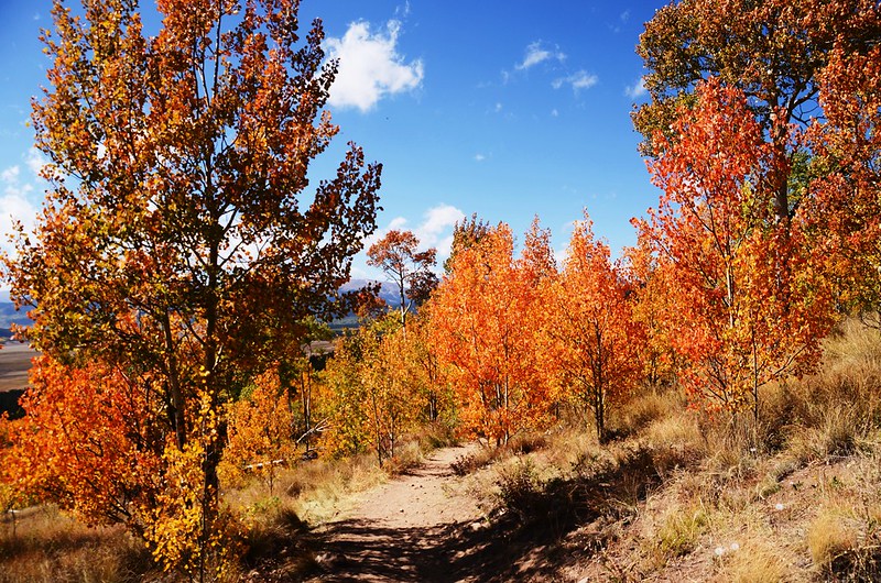 Fall foliage hike at Colorado Trail, Kenosha Pass (11)