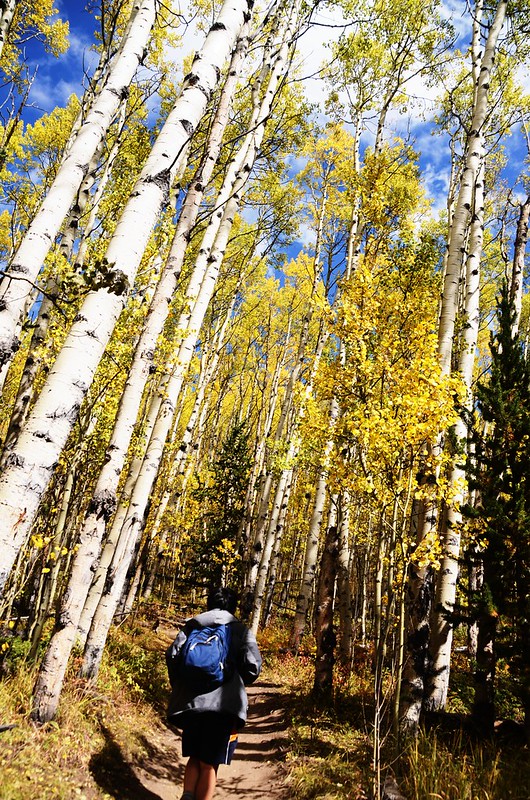 Fall foliage hike at Colorado Trail, Kenosha Pass (7)