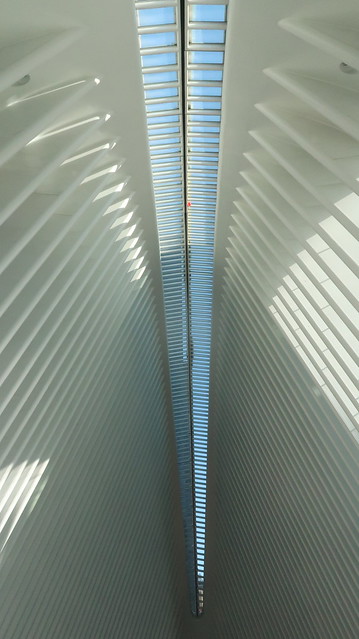 Oculus: The new World Trade Center Transportation Hub