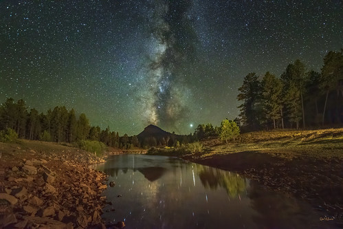 Celestial Wilderness | by McKendrickPhotography.com