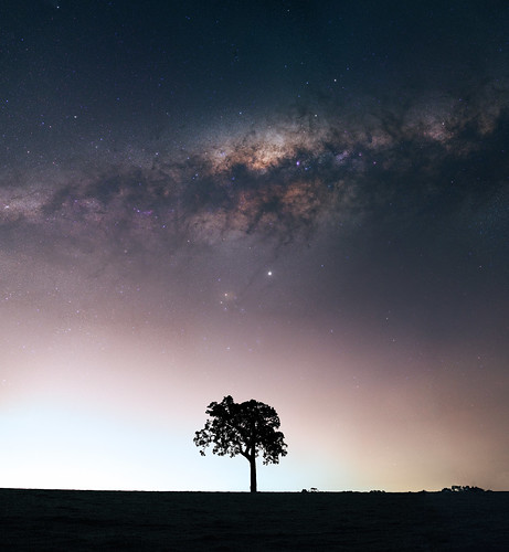 bailup panorama stitched mosaic msice milky way cosmology southern hemisphere cosmos western australia dslr long exposure rural night photography nikon stars astronomy space galaxy astrophotography outdoor core great rift ancient sky 35mm d5500 landscape tree silhouette tracked ioptron skytracker light pollution