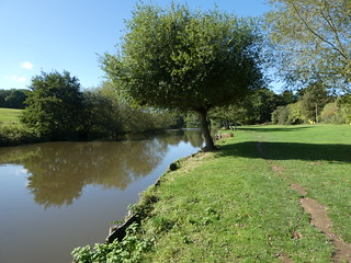 Riverside in the morning Wateringbury Circular walk