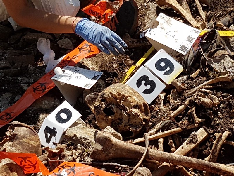 A close up picture of the human remains from the site. Numbers and tape are near to the bones and the gloved hand of a forensic anthropologist is visible