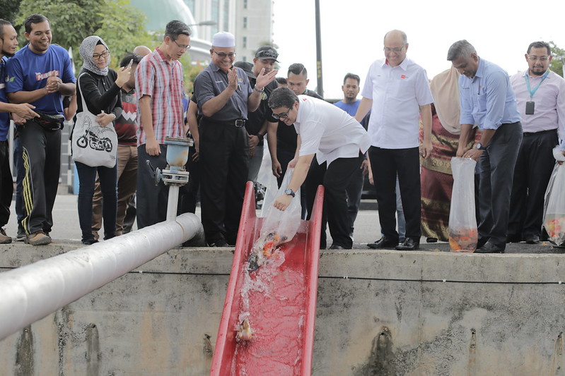 Ketua Pegawai Eksekutif, Rangkaian Televisyen Media Prima Berhad, Encik Johan Ishak Melepaskan Ikan Ke Kolam Yang Disediakan Sewaktu Program Csr Di Kjh Pulau Pinang