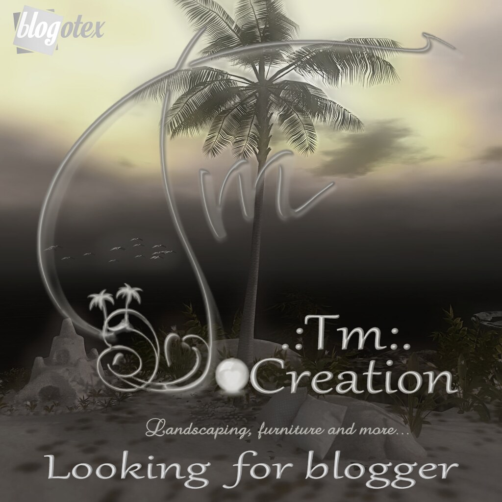 .:Tm:.Creation is looking for bloggers!