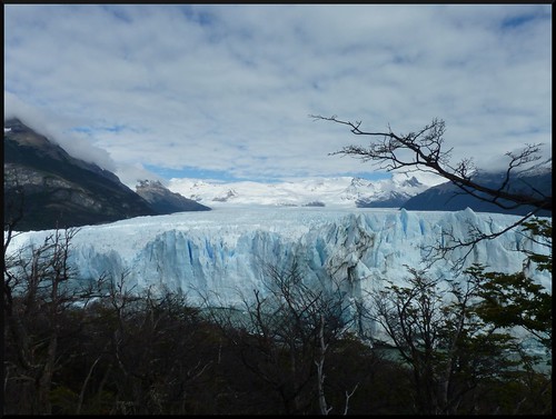 Contrastes de Argentina y Cruce Andino - Blogs de Argentina - El Calafate: Parque Nacional de los Glaciares (18)