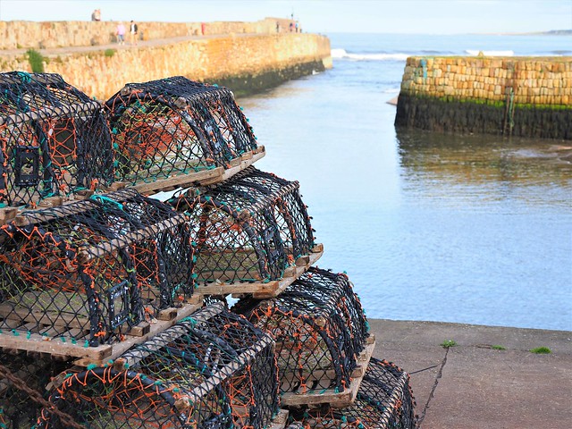 Lobster pots, Kingdom of Fife, Scotland.