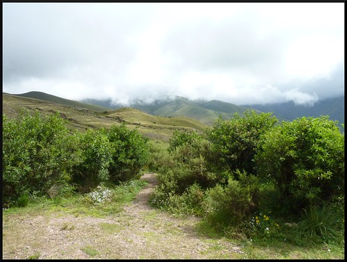 Contrastes de Argentina y Cruce Andino - Blogs de Argentina - Salta la Linda: Valles Calchaquíes y Quebrada de Humahuaca (51)