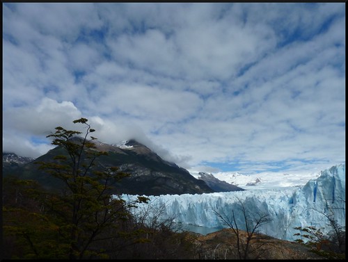 Contrastes de Argentina y Cruce Andino - Blogs de Argentina - El Calafate: Parque Nacional de los Glaciares (20)