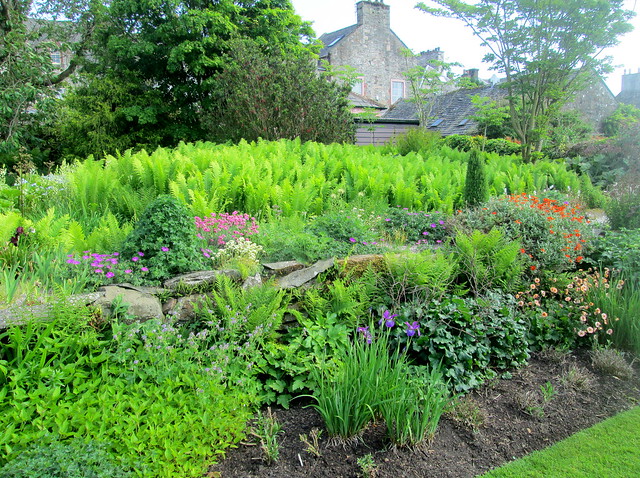 plants, Broughton House, Dumfries and Galloway