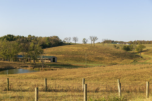 landscape fields pasture rural farmland hills bluegrass posts fences shed pond trees bathcounty kentucky owingsville