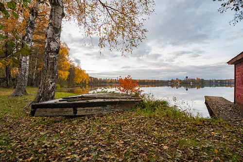 leaffall boat autumn october nature lake vvedenskoelake vvedensky russia vladimiroblast landscape