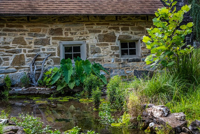 Stoney Creek Bed and Breakfast - Brook near Out Building