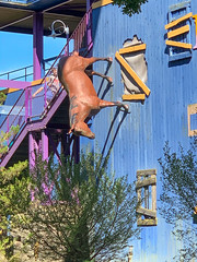 Photo 25 of 30 in the Six Flags Great Adventure on Wed, 26 Jun 2019 gallery