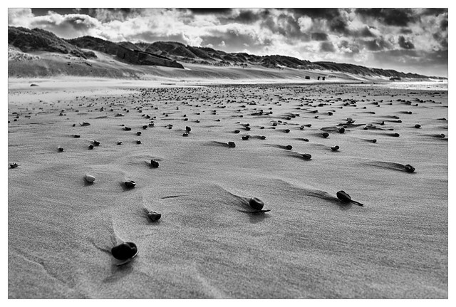 Steine am Strand / Stones on the beach