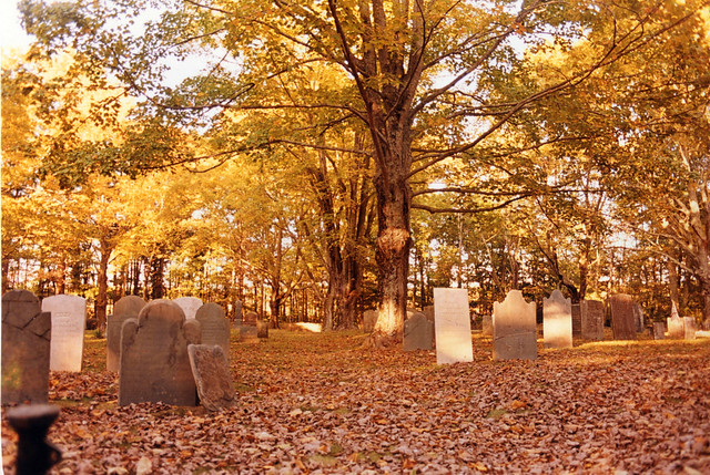 Pinegrove cemetery