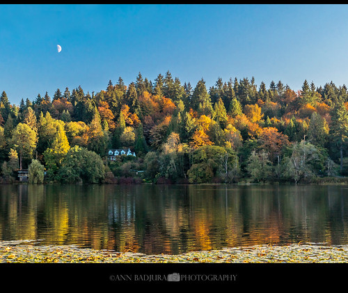 Fall colours at Deer Lake near Vancouver, BC, Canada by Ann Badjura Photography