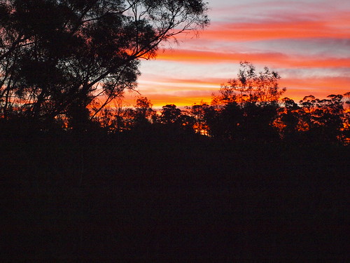 sunset molesworth