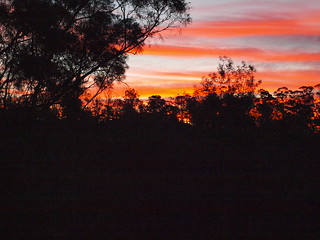 Sunset at Molesworth