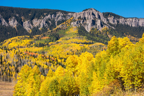 Colorado Colors | Fall colors in San Juan Mountains of Color… | Amy