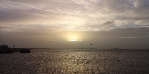 dawn galway ireland cormorant sunrise coast morninglight cameraphone reflection bird flight galwaybay