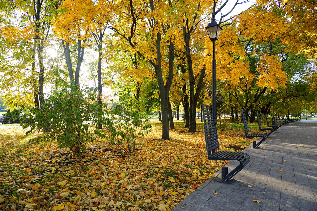 A public garden and benches for 