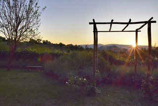 _DSC9285 : aurore @ Villa Tre Grazie, province Pérouse, Italie