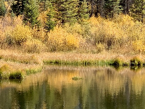 White River Forest, Colorado