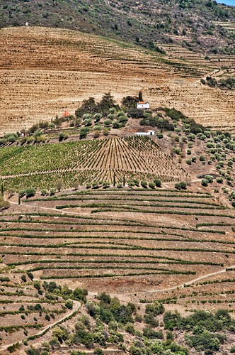 2019 portugal douro valterb valley landscape hill hills sky house holiday tourism tones wine nikond90 nikkor nature vineyard