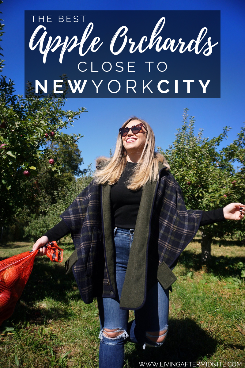 The Best Apple Orchards Close to New York City | Best Places to Apple Pick Near NYC | Where to go Apple Picking near NYC | New York Hudson Valley Westchester County Apple Picking Guide