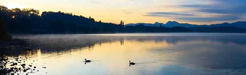 f9228342af9228344aa koaxial lake water mist fog early sunrise chiemsee wasser reflection mountains berge landscape pano hugin silent tranquil ducks light morning