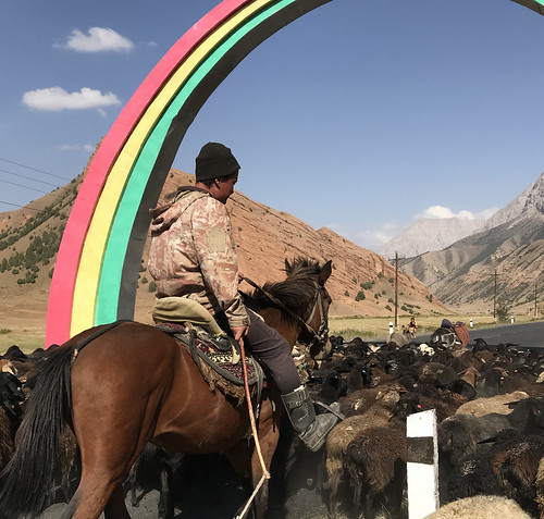 silkroad kyrgyzstan uzbekistan horses