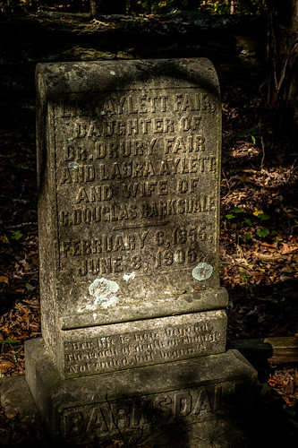 cemetery copyright2019thomasetaylor doublinghistorical laurens laurenscounty southcarolina unitedstates
