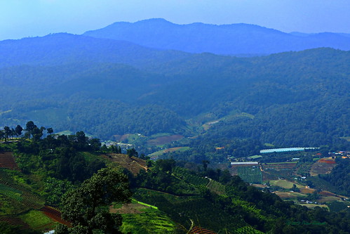เชียงใหม่ chiangmai ชนบท countryside ม่อนแจ่ม “mon chaem” ภูเขา เขา mountain ประเทศไทย thailand