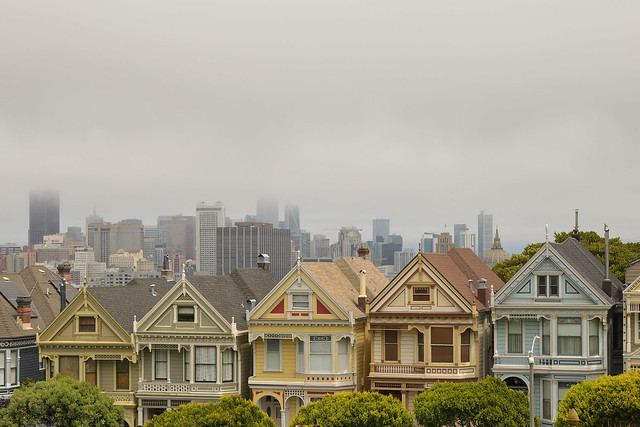 Painted Ladies with a misty skyline of SF