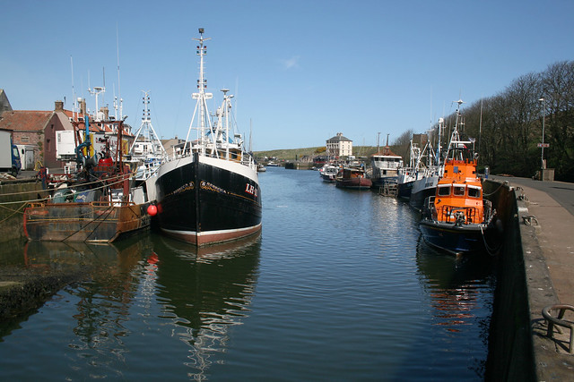 The harbour at Eyemouth