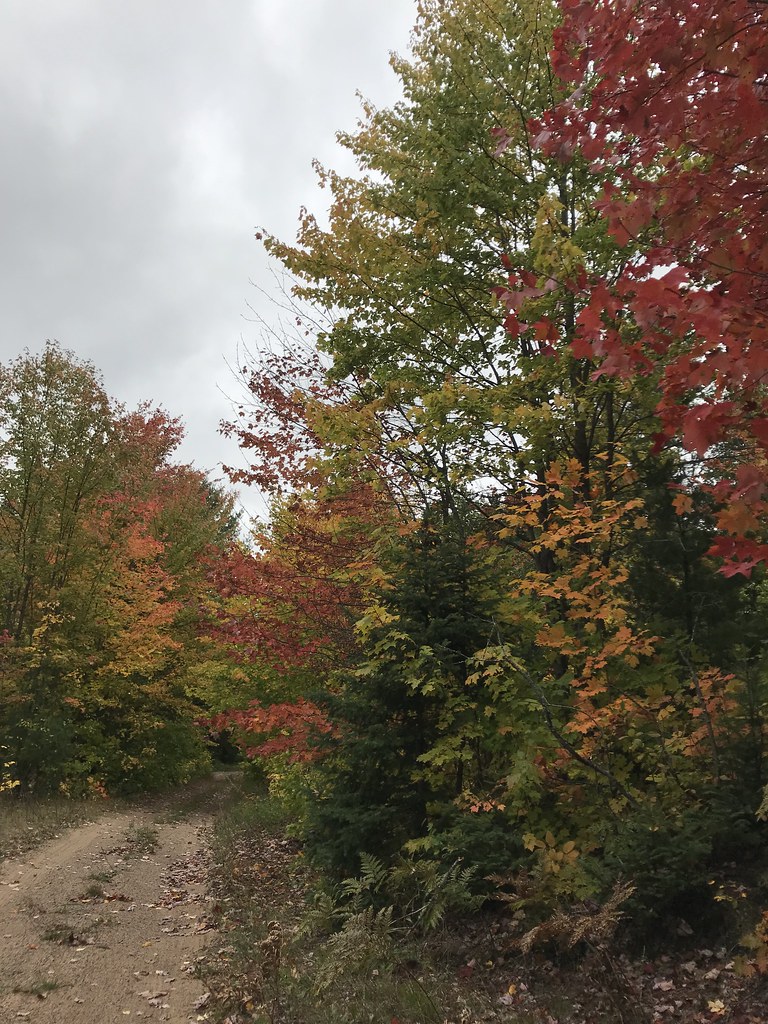 Coalwood Grade ATV