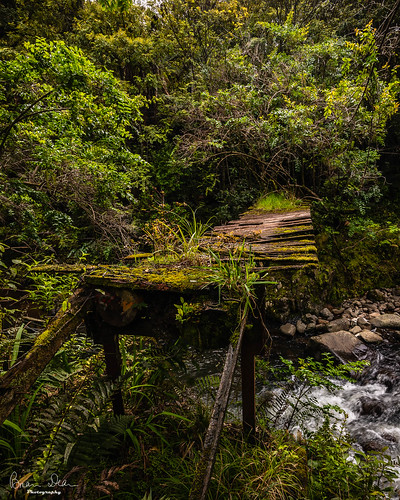 creek bridge bush slideshow facebook 2019tour relic flickr nztour dargaville northlandregion newzealand