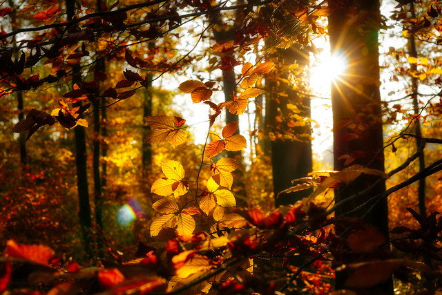 Flooded by the sun