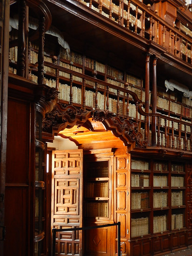 The library in Puebla, Mexico