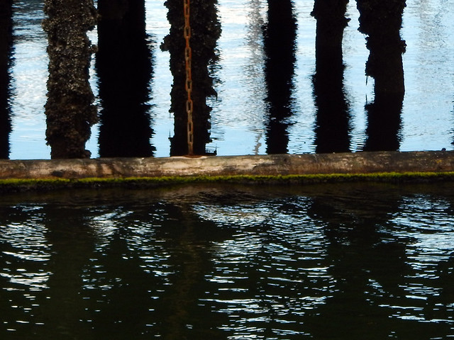 Water Texture: reflections of pier