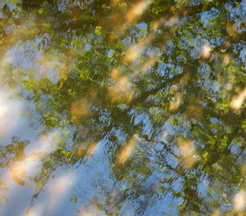 Water Texture: Branches and dappled sunlight reflecting on the water of a small stream in Tanum, Sweden