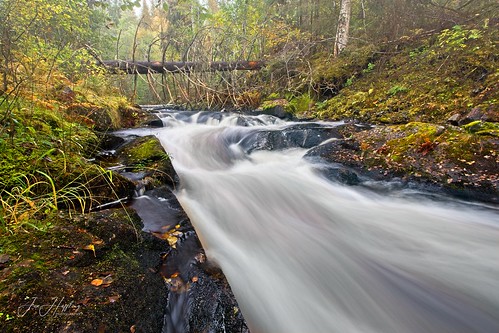 hagfors sweden autumn höst stream fors bäck älv rocks stenar trees träd yellow gult flow canon eosr natur nature sunnemo