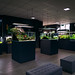 Green Aqua Showroom