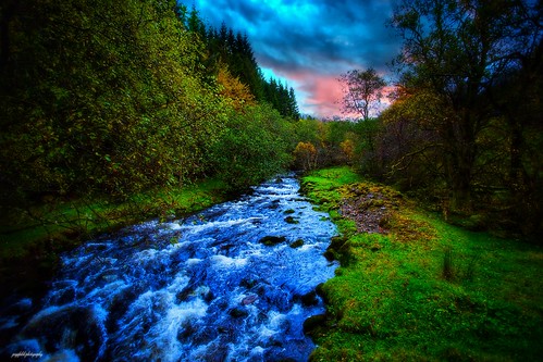 norway norsknatur norsklandskap norwegianlandscapes norwegianlandscape ngc hazylandscape countrysidelandscape dramaticlandscape cinematiclandscape beautifullandscapes nature postcardlandscape landscapephotography jorgefalckphotography river fairytalelandscape fairytale trees forest lake water hippie artwork awsomelandscapes inexplore canonphotography canon canon6d canonef1740mmf4l bergen europa