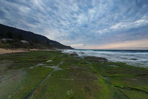 wollongong newsouthwales australia wombarra nsw dawn sunrise converging lines tessellated pavement sky rock ocean sea green moss beach wave