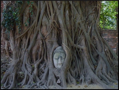 Navidad en Tailandia y Singapur - Blogs de Asia Sudeste - Parque histórico de Ayutthaya (1)