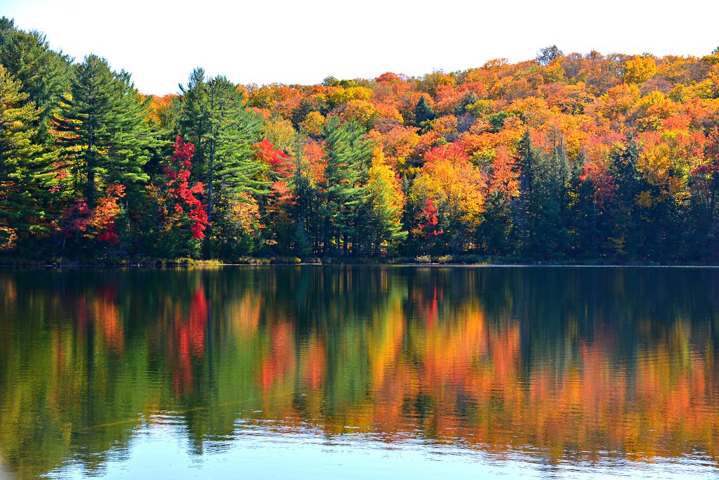 Fall Colours, Mayflower Lake, Arrowhead Provincial Park, H… | Flickr